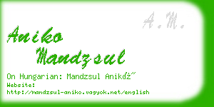 aniko mandzsul business card